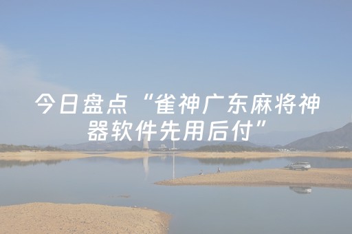 今日盘点“雀神广东麻将神器软件先用后付”（详细辅助教程）-哔哩哔哩