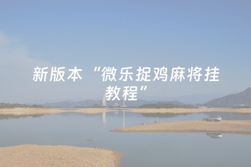 新版本“微乐捉鸡麻将挂教程”（详细透视教程）-哔哩哔哩