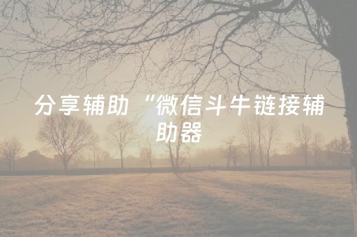分享辅助“微信斗牛链接辅助器（专用辅牌神器免安装）