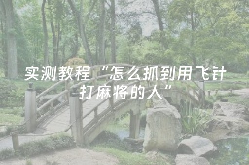 实测教程“怎么抓到用飞针打麻将的人”（详细透视教程）-哔哩哔哩