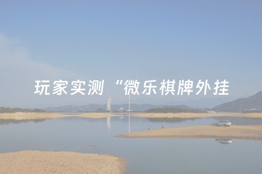 玩家实测“微乐棋牌外挂（专用辅牌神器免安装）