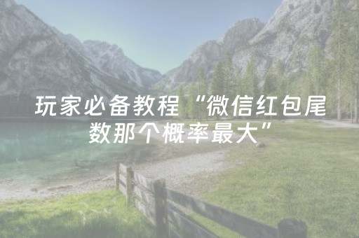 玩家必备教程“微信红包尾数那个概率最大”（详细透视教程）-哔哩哔哩