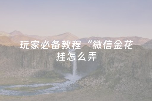 玩家必备教程“微信金花挂怎么弄（助赢神器通用版）