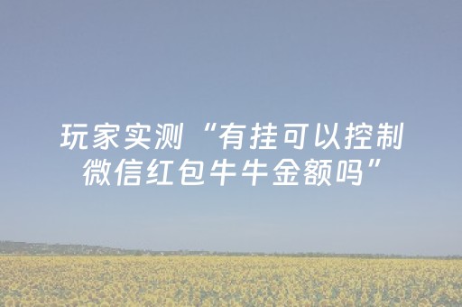 玩家实测“有挂可以控制微信红包牛牛金额吗”（详细透视教程）-哔哩哔哩