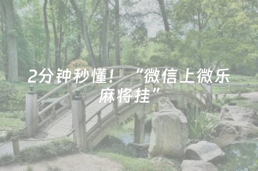 2分钟秒懂！“微信上微乐麻将挂”（详细透视教程）-哔哩哔哩