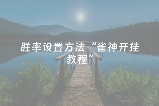 胜率设置方法“雀神开挂教程”（详细透视教程）-哔哩哔哩