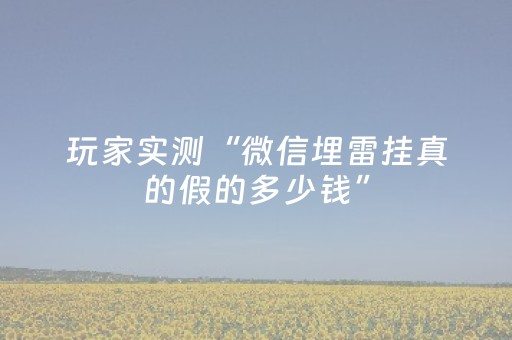 玩家实测“微信埋雷挂真的假的多少钱”（详细透视教程）-哔哩哔哩