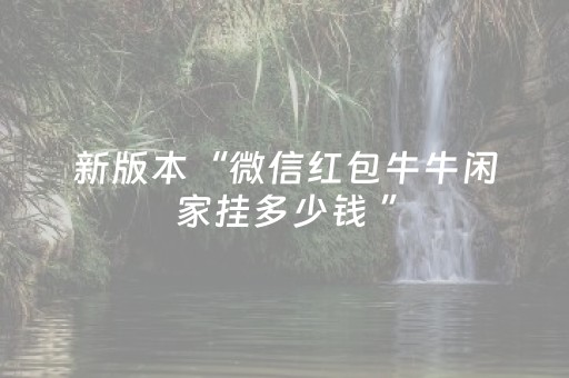 新版本“微信红包牛牛闲家挂多少钱 ”（详细透视教程）-哔哩哔哩