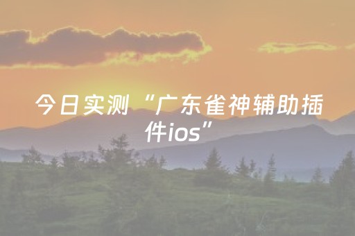 今日实测“广东雀神辅助插件ios”（详细辅助教程）-哔哩哔哩