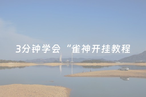 3分钟学会“雀神开挂教程（专用辅牌神器免安装）