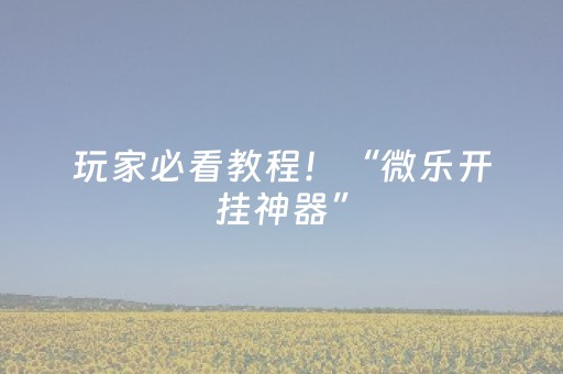 玩家必看教程！“微乐开挂神器”（详细开挂教程）-哔哩哔哩
