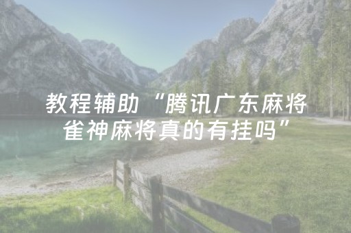 教程辅助“腾讯广东麻将雀神麻将真的有挂吗”（详细透视教程）-哔哩哔哩