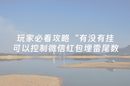 玩家必看攻略“有没有挂可以控制微信红包埋雷尾数规律”（详细透视教程）-哔哩哔哩