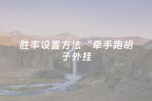 胜率设置方法“牵手跑胡子外挂（助赢神器通用版）