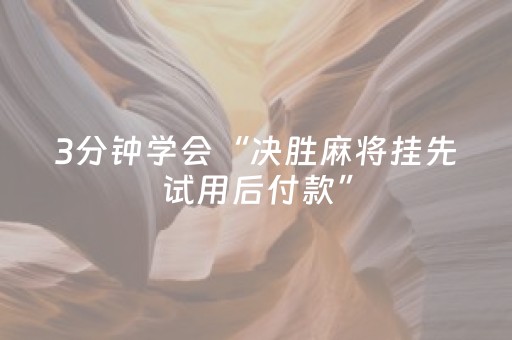 3分钟学会“决胜麻将挂先试用后付款”（详细透视教程）-哔哩哔哩