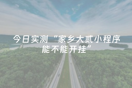 今日实测“家乡大贰小程序能不能开挂”（详细辅助教程）-哔哩哔哩