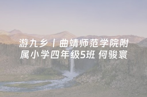 游九乡丨曲靖师范学院附属小学四年级5班 何骏寰