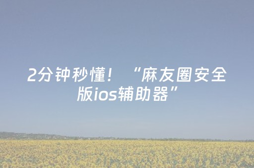 2分钟秒懂！“麻友圈安全版ios辅助器”（详细透视教程）-哔哩哔哩