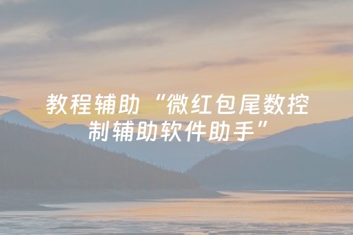 教程辅助“微红包尾数控制辅助软件助手”（详细透视教程）-哔哩哔哩