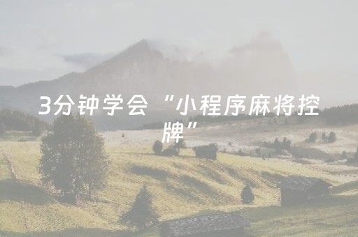 3分钟学会“小程序麻将控牌”（详细透视教程）-哔哩哔哩