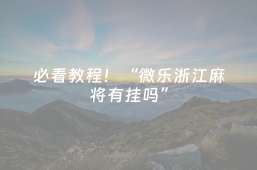 必看教程！“微乐浙江麻将有挂吗”（详细辅助教程）-哔哩哔哩