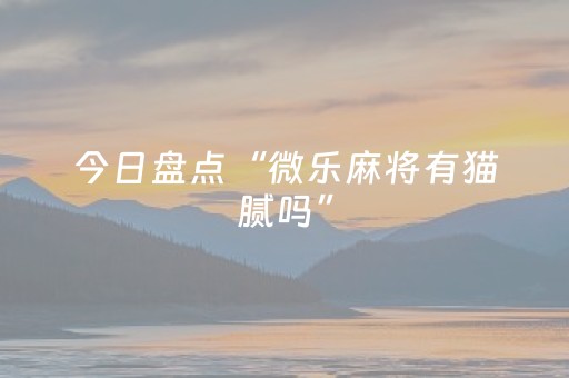 今日盘点“微乐麻将有猫腻吗”（详细透视教程）-哔哩哔哩