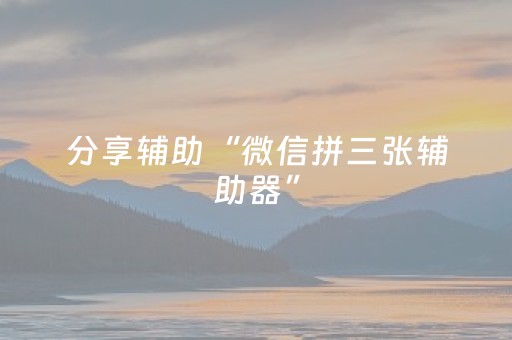 分享辅助“微信拼三张辅助器”（详细透视教程）-哔哩哔哩
