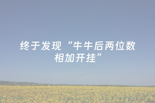 终于发现“牛牛后两位数相加开挂”（详细透视教程）-哔哩哔哩