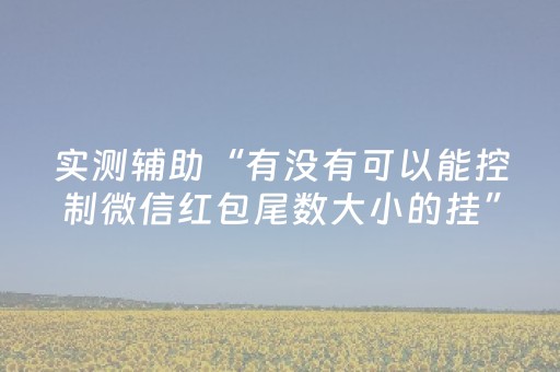 实测辅助“有没有可以能控制微信红包尾数大小的挂”（详细透视教程）-哔哩哔哩