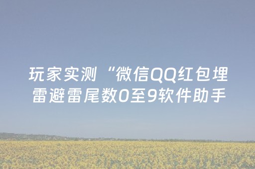 玩家实测“微信QQ红包埋雷避雷尾数0至9软件助手”（详细透视教程）-哔哩哔哩