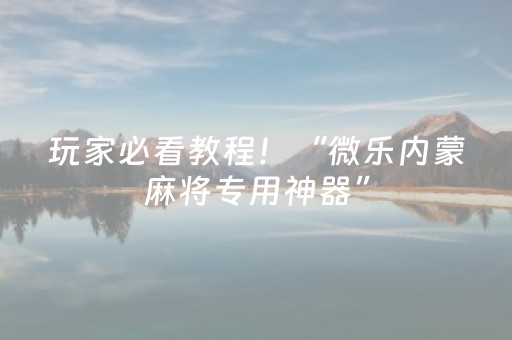 玩家必看教程！“微乐内蒙麻将专用神器”（详细透视教程）-哔哩哔哩