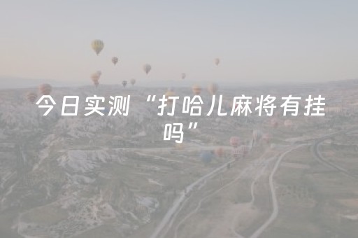 今日实测“打哈儿麻将有挂吗”（详细辅助教程）-哔哩哔哩