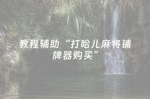 教程辅助“打哈儿麻将铺牌器购买”（详细透视教程）-哔哩哔哩