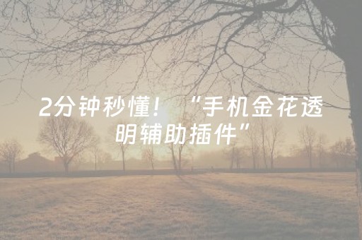 2分钟秒懂！“手机金花透明辅助插件”（详细透视教程）-哔哩哔哩