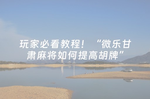 玩家必看教程！“微乐甘肃麻将如何提高胡牌”（详细开挂教程）-哔哩哔哩