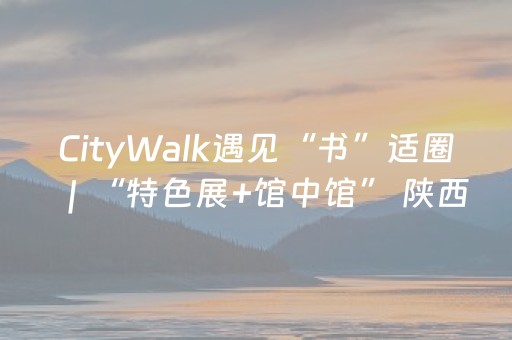 CityWalk遇见“书”适圈｜“特色展+馆中馆” 陕西省图书馆高新馆变身“文化会客厅”