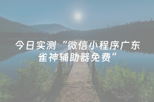 今日实测“微信小程序广东雀神辅助器免费”（详细辅助教程）-哔哩哔哩