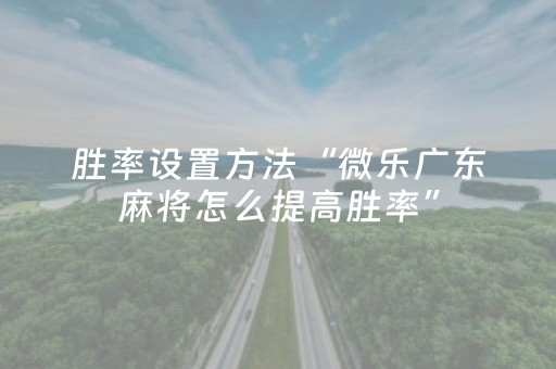 胜率设置方法“微乐广东麻将怎么提高胜率”（详细透视教程）-哔哩哔哩