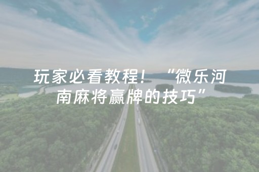 玩家必看教程！“微乐河南麻将赢牌的技巧”（详细辅助教程）-哔哩哔哩