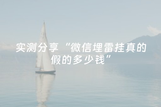 实测分享“微信埋雷挂真的假的多少钱”（详细透视教程）-哔哩哔哩