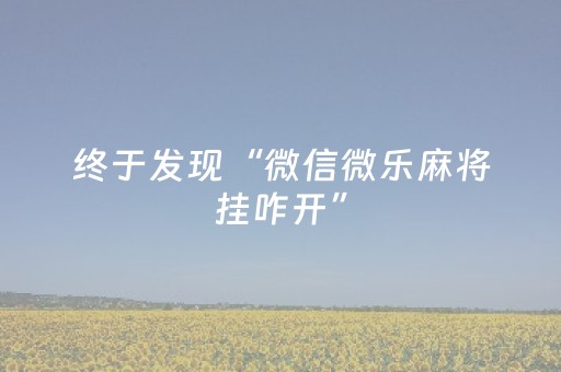 终于发现“微信微乐麻将挂咋开”（详细透视教程）-哔哩哔哩