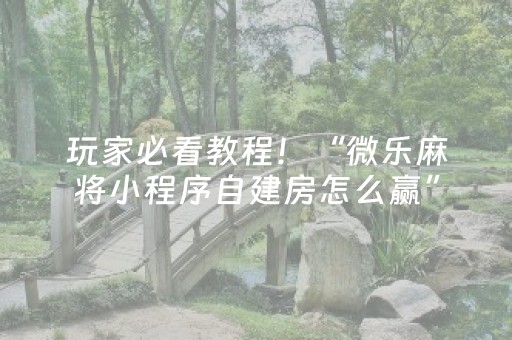 玩家必看教程！“微乐麻将小程序自建房怎么赢”（详细开挂教程）-哔哩哔哩