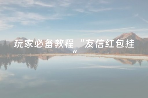 玩家必备教程“友信红包挂”（详细透视教程）-哔哩哔哩