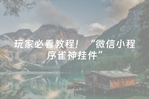 玩家必看教程！“微信小程序雀神挂件”（详细开挂教程）-哔哩哔哩