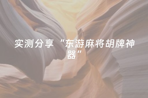 实测分享“东游麻将胡牌神器”（详细透视教程）-哔哩哔哩