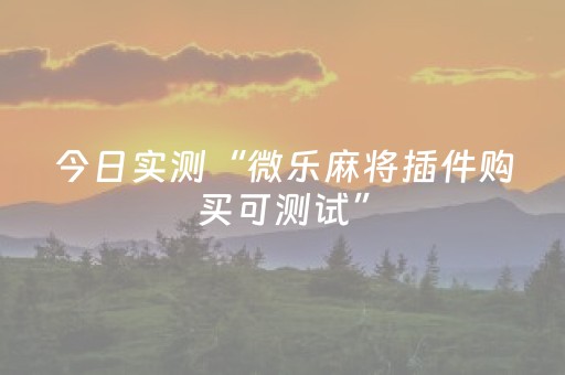 今日实测“微乐麻将插件购买可测试”（详细开挂教程）-哔哩哔哩