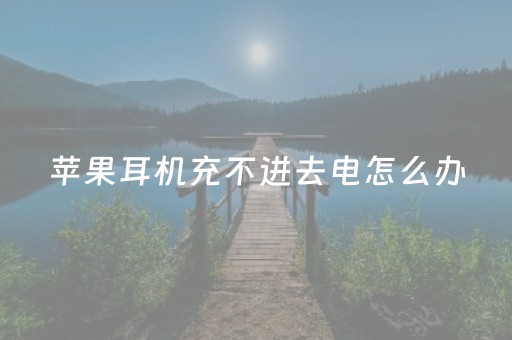 苹果耳机充不进去电怎么办（苹果耳机充不上电也不亮灯）