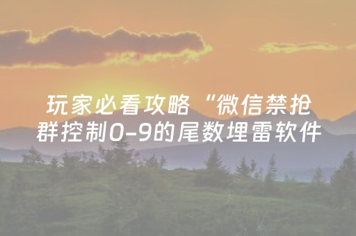 玩家必看攻略“微信禁抢群控制0-9的尾数埋雷软件”（详细透视教程）-哔哩哔哩