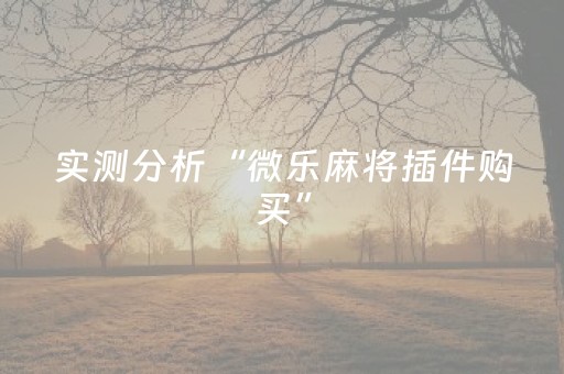 实测分析“微乐麻将插件购买”（详细开挂教程）-哔哩哔哩