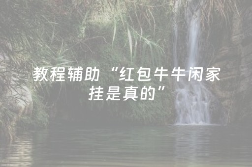 教程辅助“红包牛牛闲家挂是真的”（详细透视教程）-哔哩哔哩